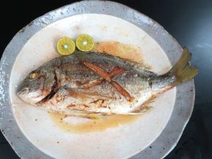 ヘダイ 魚類 市場魚貝類図鑑 ヘダイ 魚類 市場魚貝類図鑑