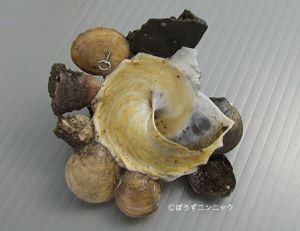 クリックで拡大表示