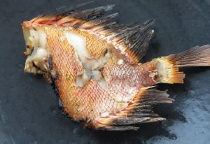 クリックで拡大表示