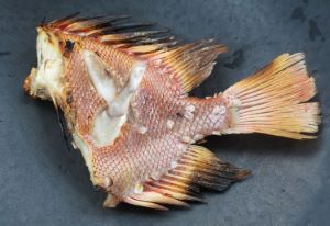 クリックで拡大表示