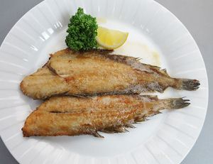 ウケグチザラガレイのムニエル