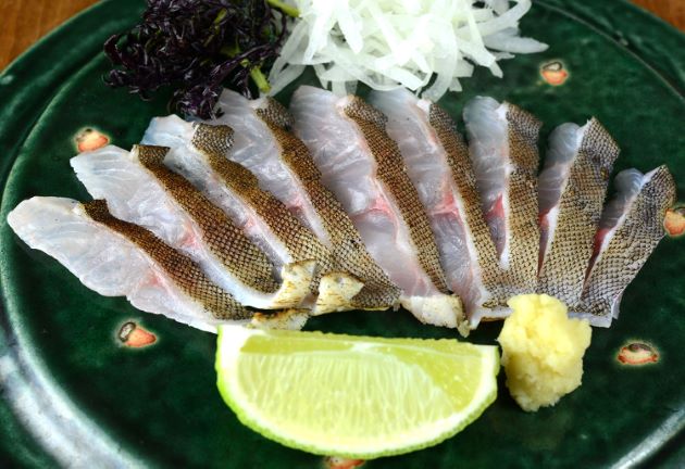 近海産海水魚、甲殻類、海洋生物、深海生物、深海魚