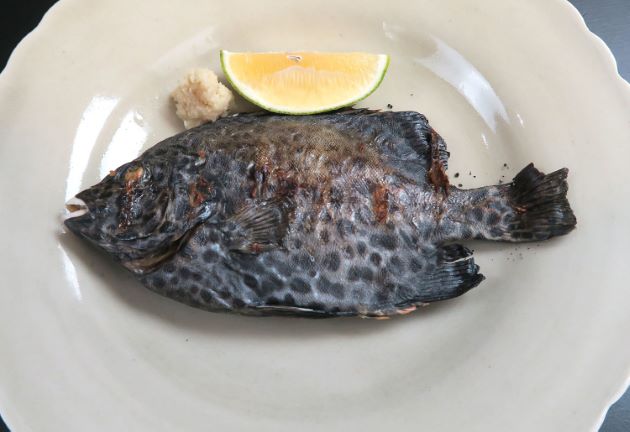 イシガキダイ | 魚類 | 市場魚貝類図鑑