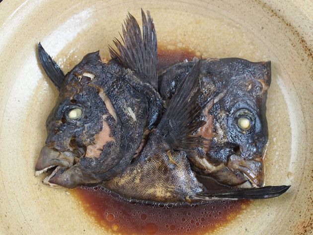 イシガキダイの煮つけ