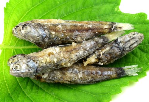 クリックで拡大表示