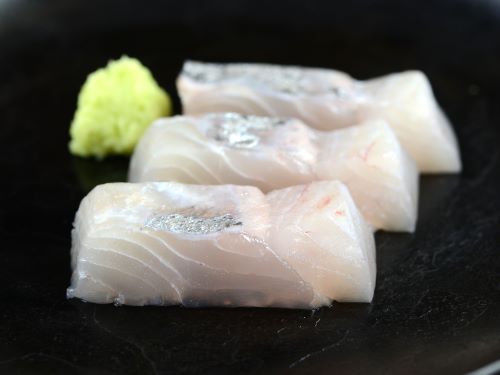 カガミダイ 魚類 市場魚貝類図鑑