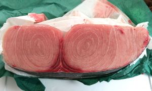 クリックで拡大表示 シロカジキのコロ断面