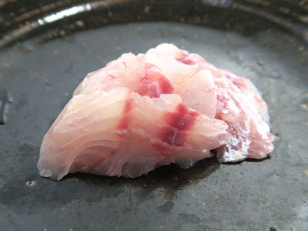 ウロコマツカサの刺身