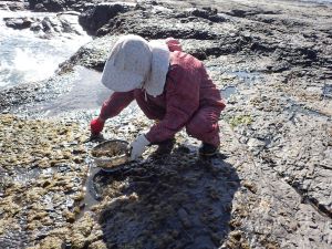 クリックで拡大表示