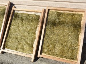 クリックで拡大表示