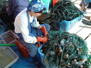 クリックで拡大表示