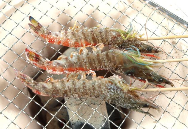 車海老 クルマエビ | 甲殻 | 市場魚貝類図鑑