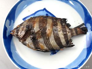 クリックで拡大表示 イシダイの丸干し
