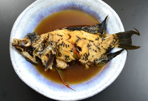 ギチベラ 魚類 市場魚貝類図鑑