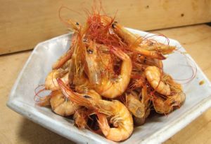 シバエビ 甲殻 市場魚貝類図鑑