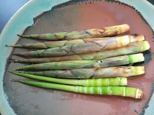クリックで拡大表示 ネマガリタケの丸焼き