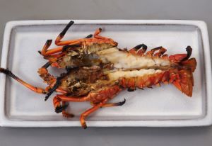イセエビ 甲殻 市場魚貝類図鑑