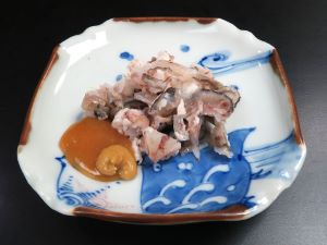 クリックで拡大表示 ダルマザメのすくめ