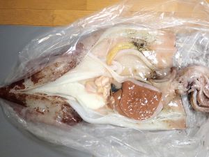 クリックで拡大表示 ニュウドウイカの味