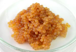 クリックで拡大表示