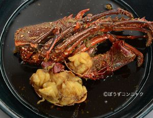 カノコイセエビ 甲殻 市場魚貝類図鑑