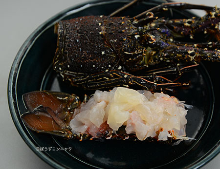 カノコイセエビの刺身