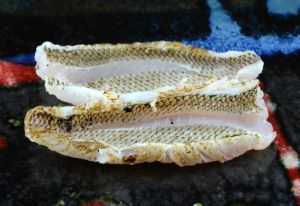 クリックで拡大表示