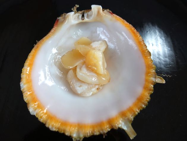 メンガイの刺身