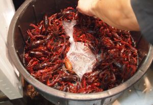 クリックで拡大表示