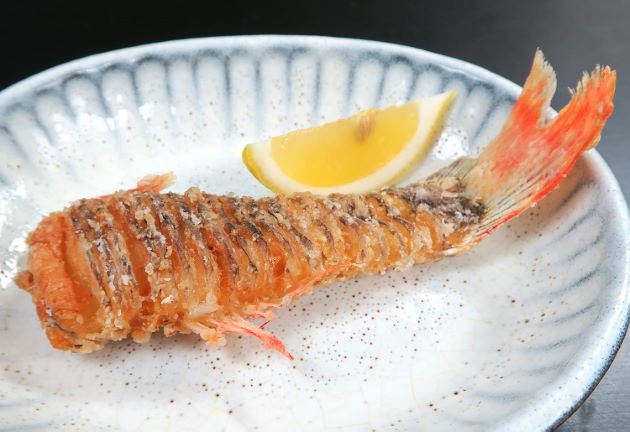 エソダマシ | 魚類 | 市場魚貝類図鑑