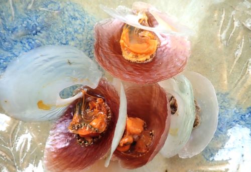 クリックで拡大表示