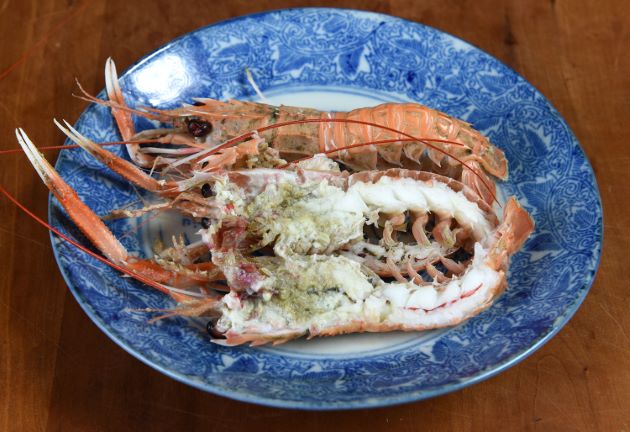 サガミアカザエビ | 甲殻 | 市場魚貝類図鑑