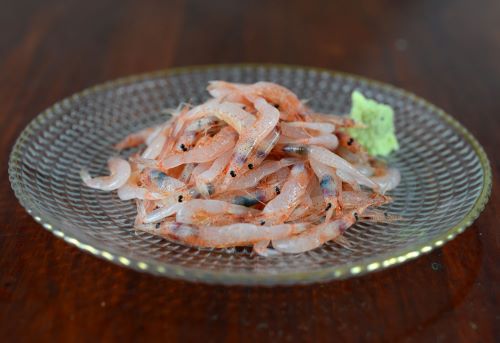 サクラエビ 甲殻 市場魚貝類図鑑