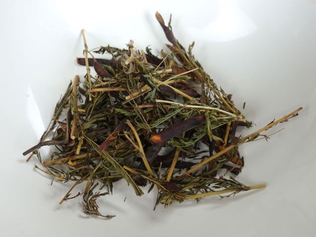 カワラケツメイのお茶