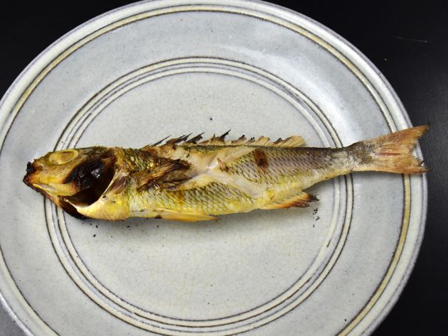 ヤクシマキツネウオの塩焼き