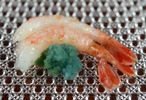 トヤマエビ ボタンエビ 市場魚貝類図鑑 トヤマエビ ボタンエビ 市場魚貝類図鑑