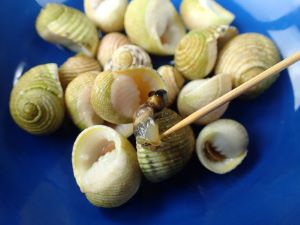 キバアマガイの煮つけ