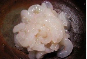 クリックで拡大表示