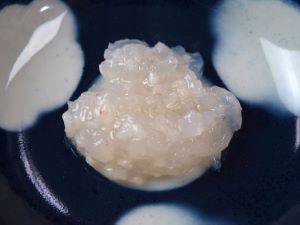 クリックで拡大表示