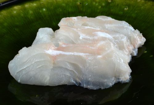 タレクチベラ 魚類 市場魚貝類図鑑 タレクチベラ 魚類 市場魚貝類図鑑