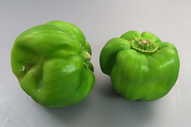 かぐらなんばん/新潟県南部、群馬県北部などで作られている伝統野菜。辛みはあまり強くはな。