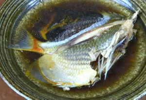 クリックで拡大表示