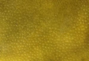 クリックで拡大表示