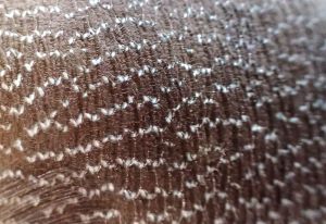 クリックで拡大表示