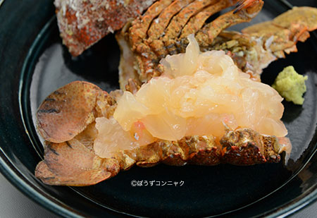 セミエビの刺身