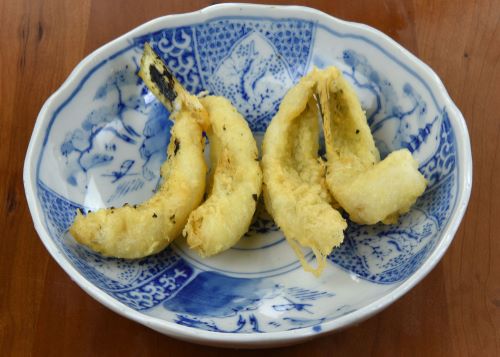 オグロトラギス 魚類 市場魚貝類図鑑