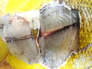 クリックで拡大表示