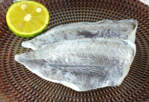 イボダイ エボダイ 市場魚貝類図鑑