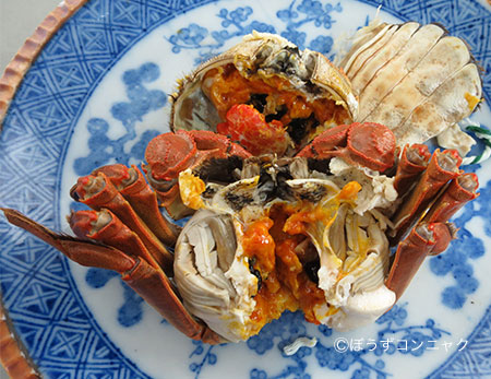 蒸したチュウゴクモクズガニ
