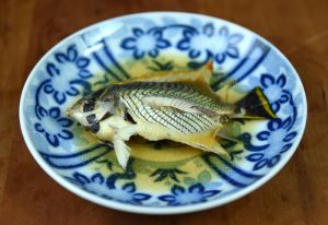 クリックで拡大表示